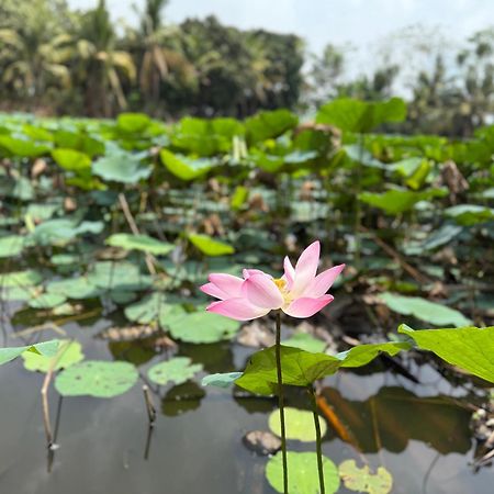 Auberge de jeunesse Hương Tràm à Ho Da Extérieur photo