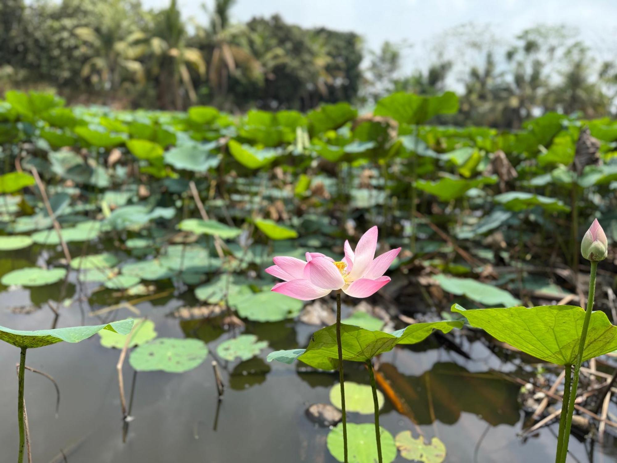 Auberge de jeunesse Hương Tràm à Ho Da Extérieur photo