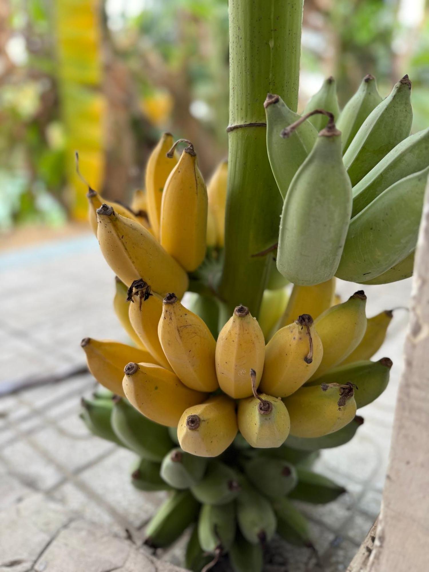 Auberge de jeunesse Hương Tràm à Ho Da Extérieur photo