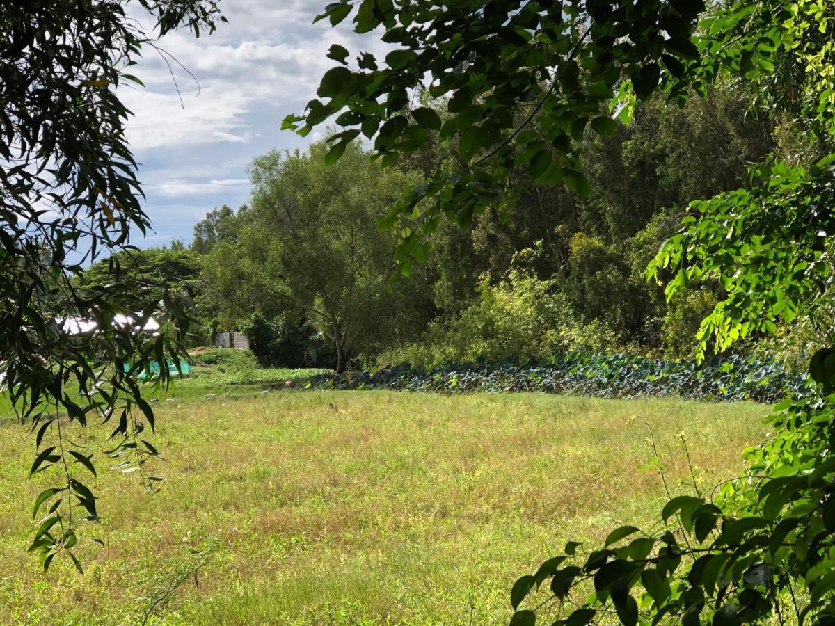 Auberge de jeunesse Hương Tràm à Ho Da Extérieur photo